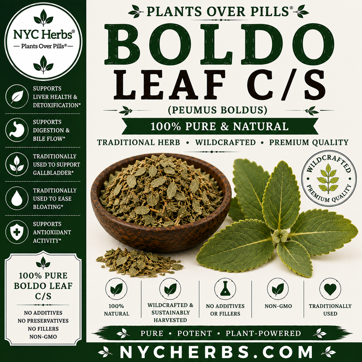 Boldo Leaf | Liver Cleanse & Digestive Support
