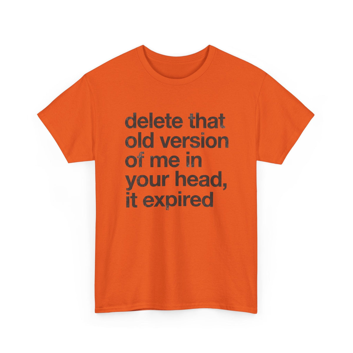 Statement Tee — “delete that old version of me in your head, it expired” Minimalist Typography T-Shirt