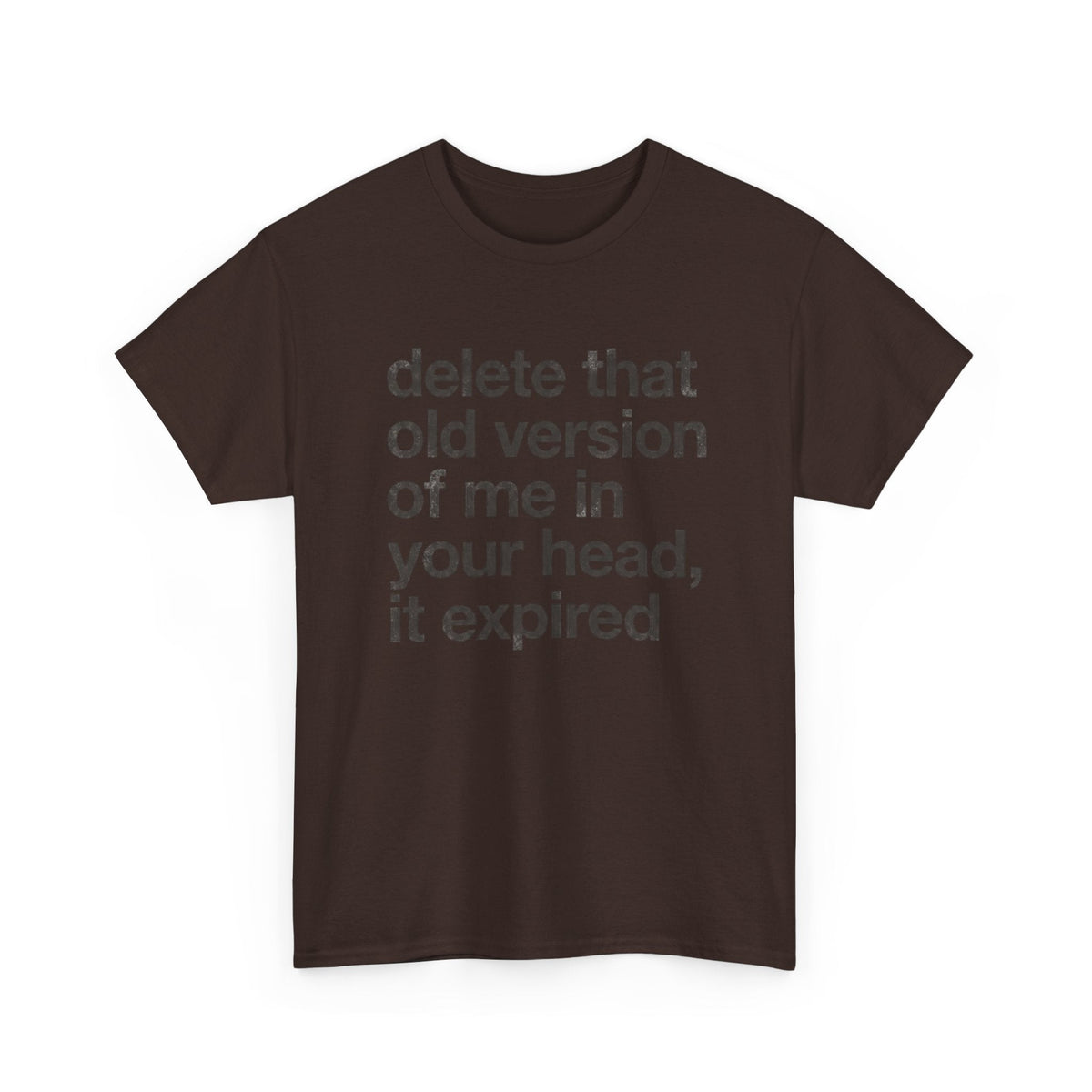 Statement Tee — “delete that old version of me in your head, it expired” Minimalist Typography T-Shirt
