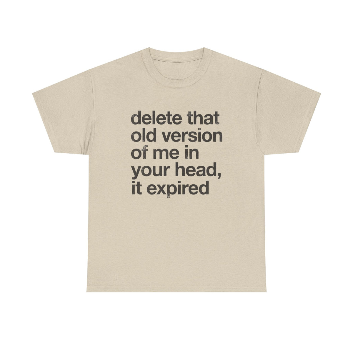 Statement Tee — “delete that old version of me in your head, it expired” Minimalist Typography T-Shirt