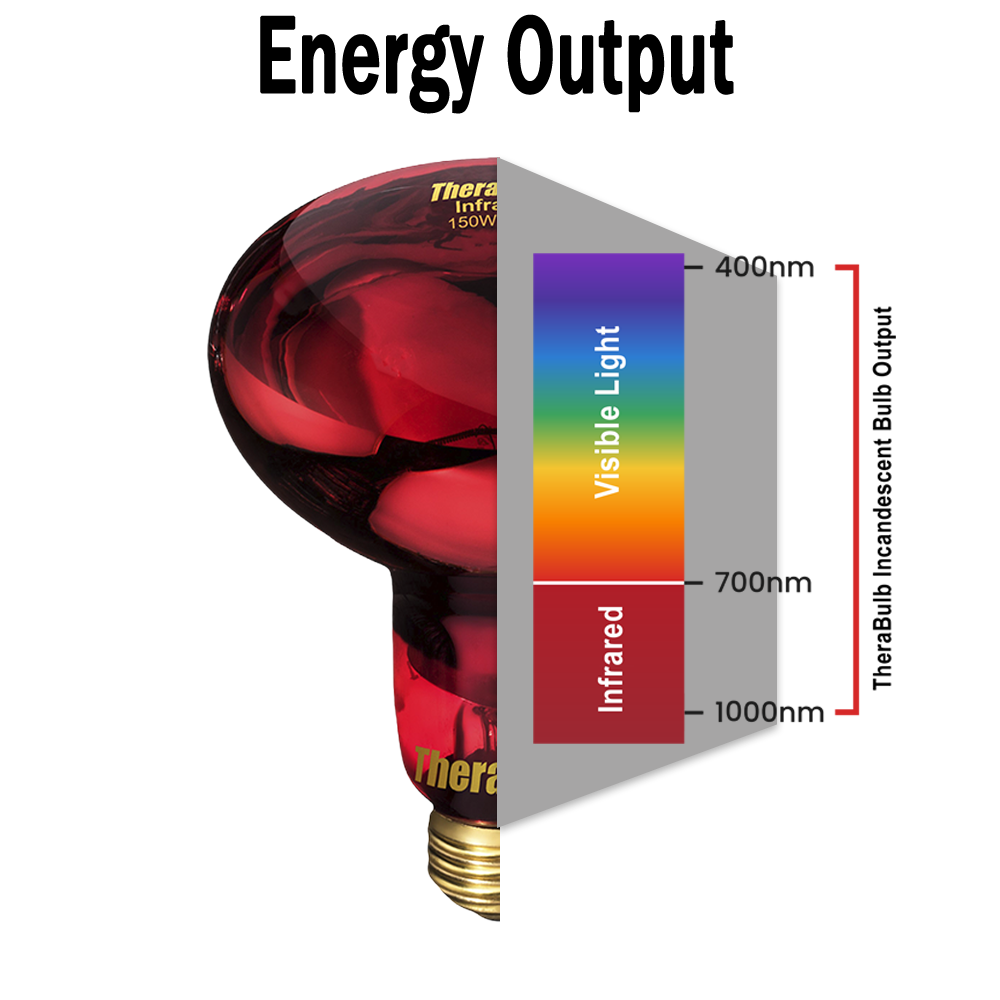 150W Near Infrared Heat Bulb 120V US, Canada, Mexico | TheraBulb