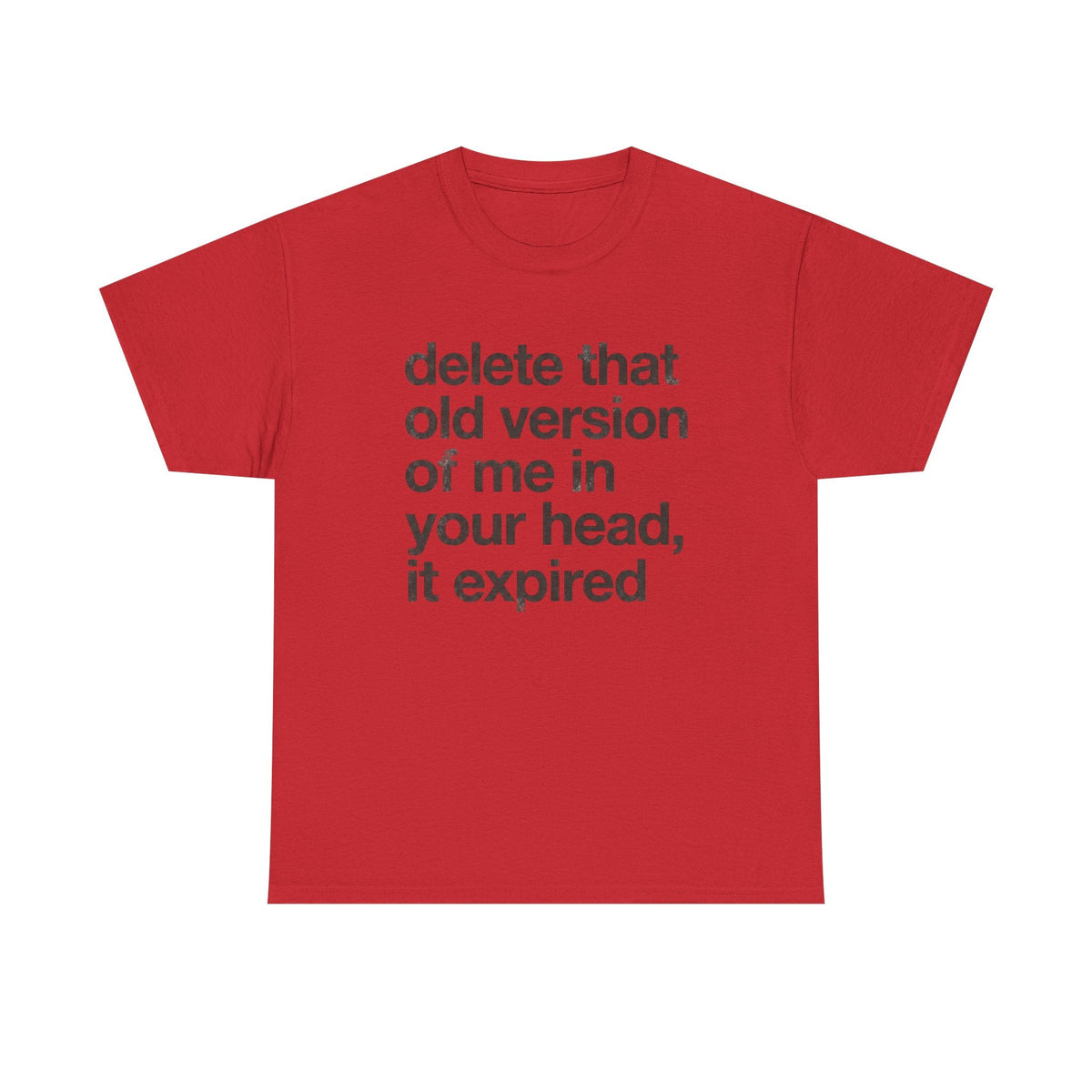 Statement Tee — “delete that old version of me in your head, it expired” Minimalist Typography T-Shirt