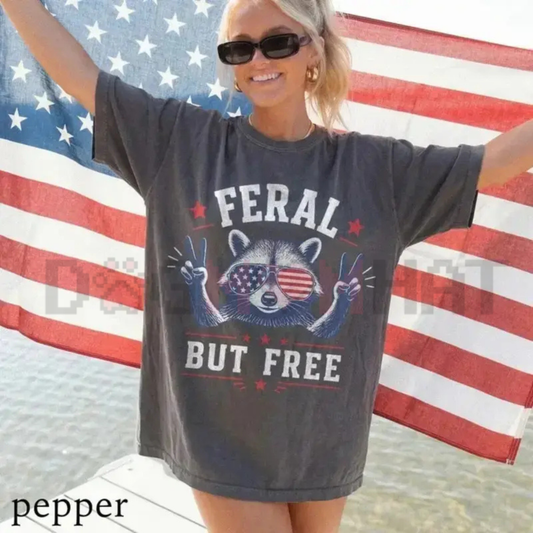 Comfort Colors USA 250th Birthday "Freedom Raccoon" T-Shirt