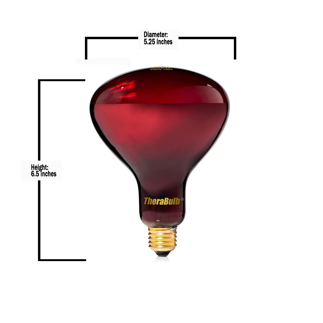 250W Near Infrared Heat Bulb 120V US, Canada, Mexico | TheraBulb