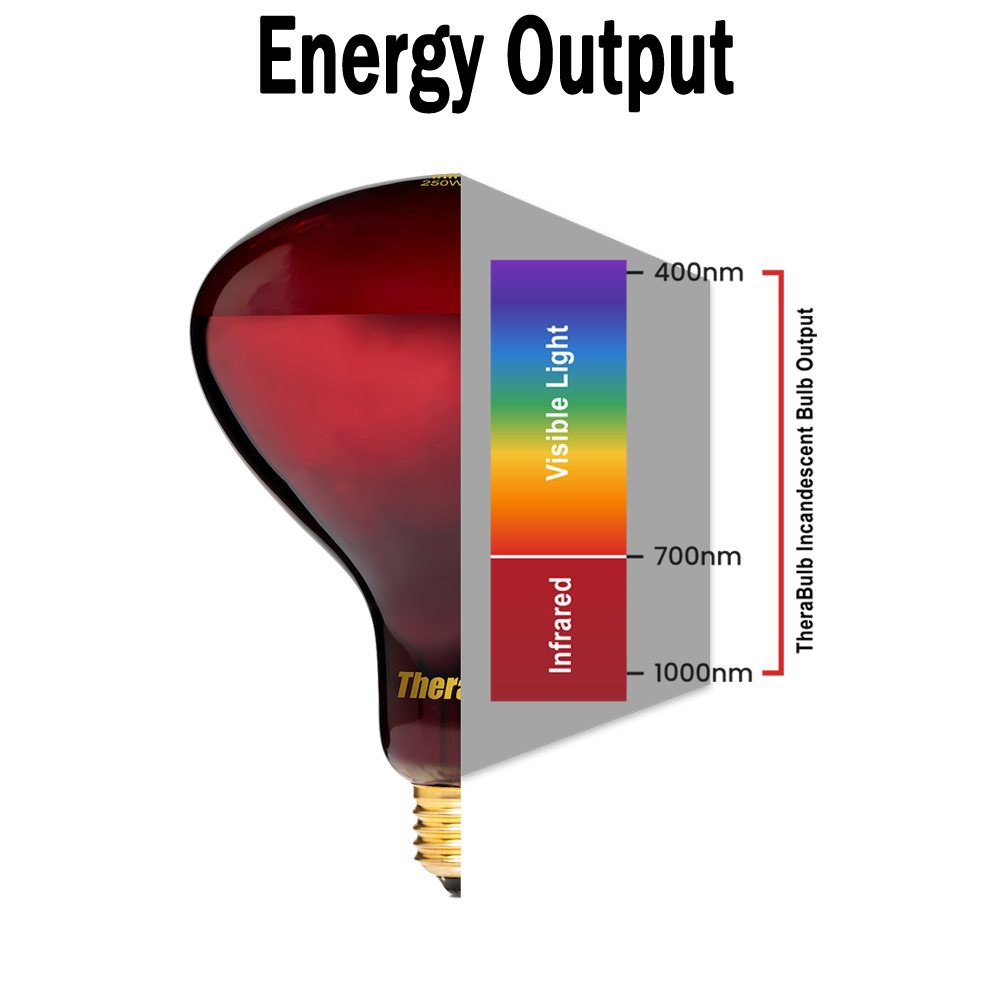 250W Near Infrared Heat Bulb 120V US, Canada, Mexico | TheraBulb