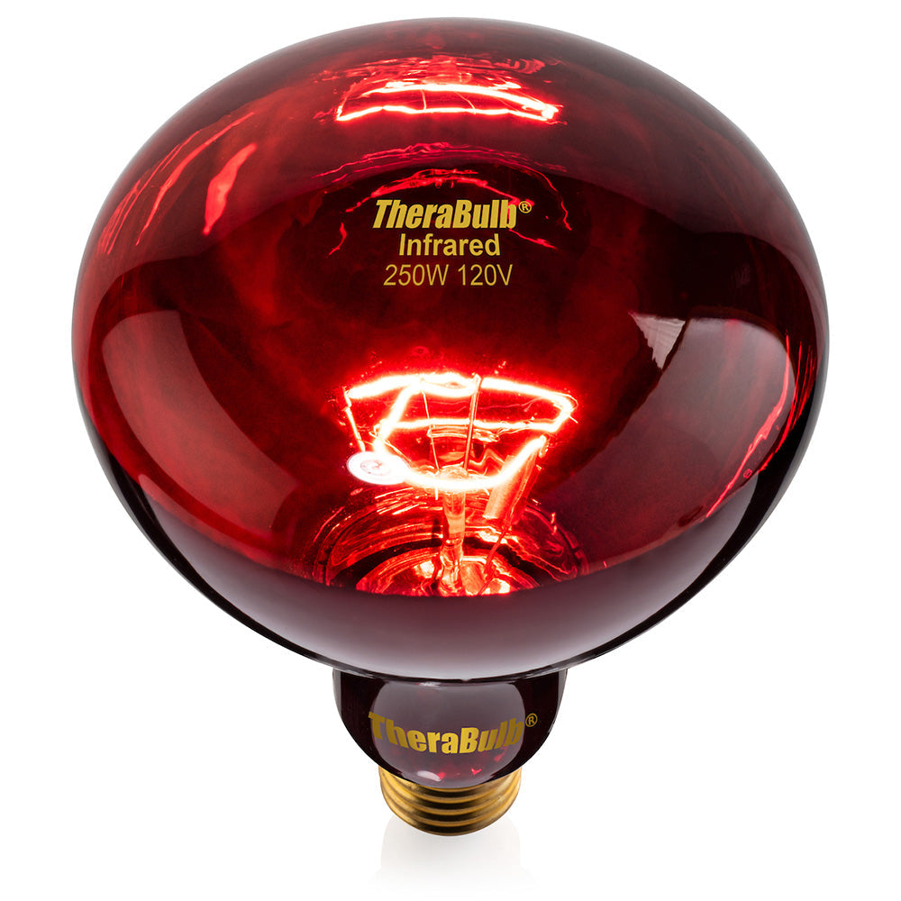 250W Near Infrared Heat Bulb 120V US, Canada, Mexico | TheraBulb
