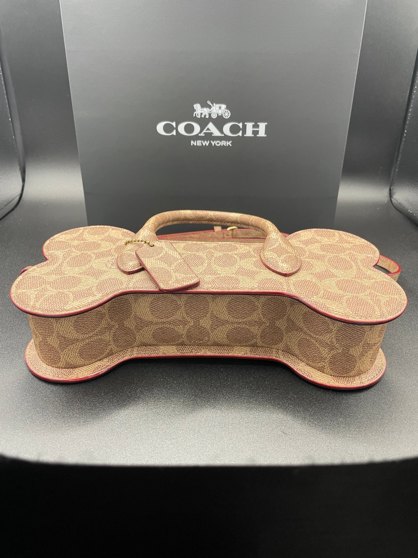 Coach Bone Bag In Signature AOP Canvas Imported