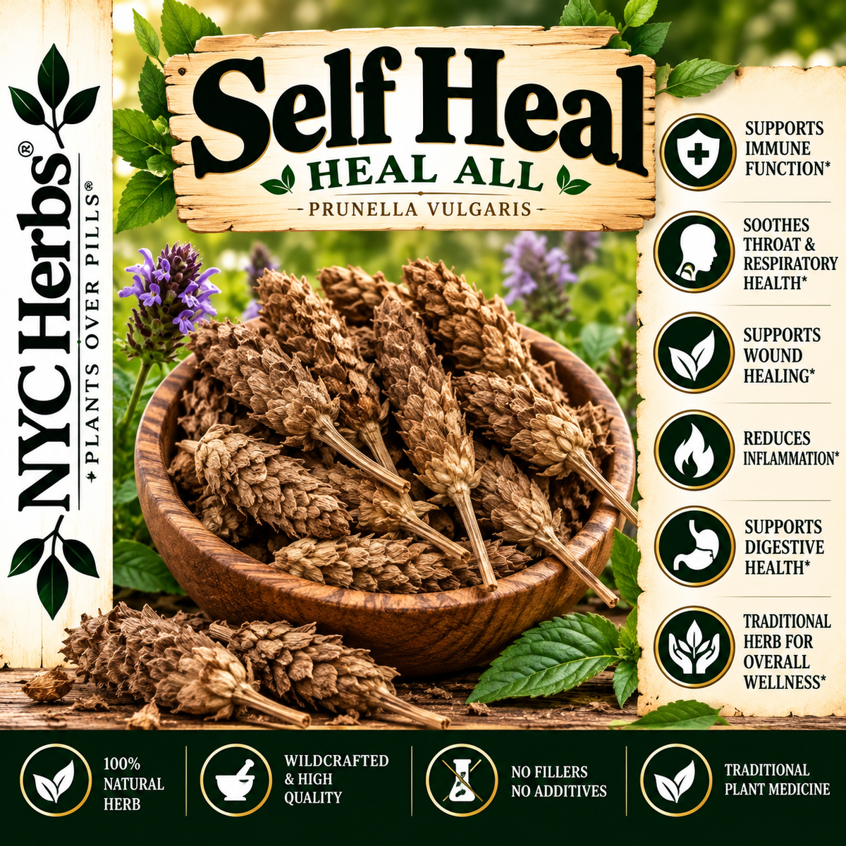 Self Heal | Immunity, Wound & Whole-Body Repair Support