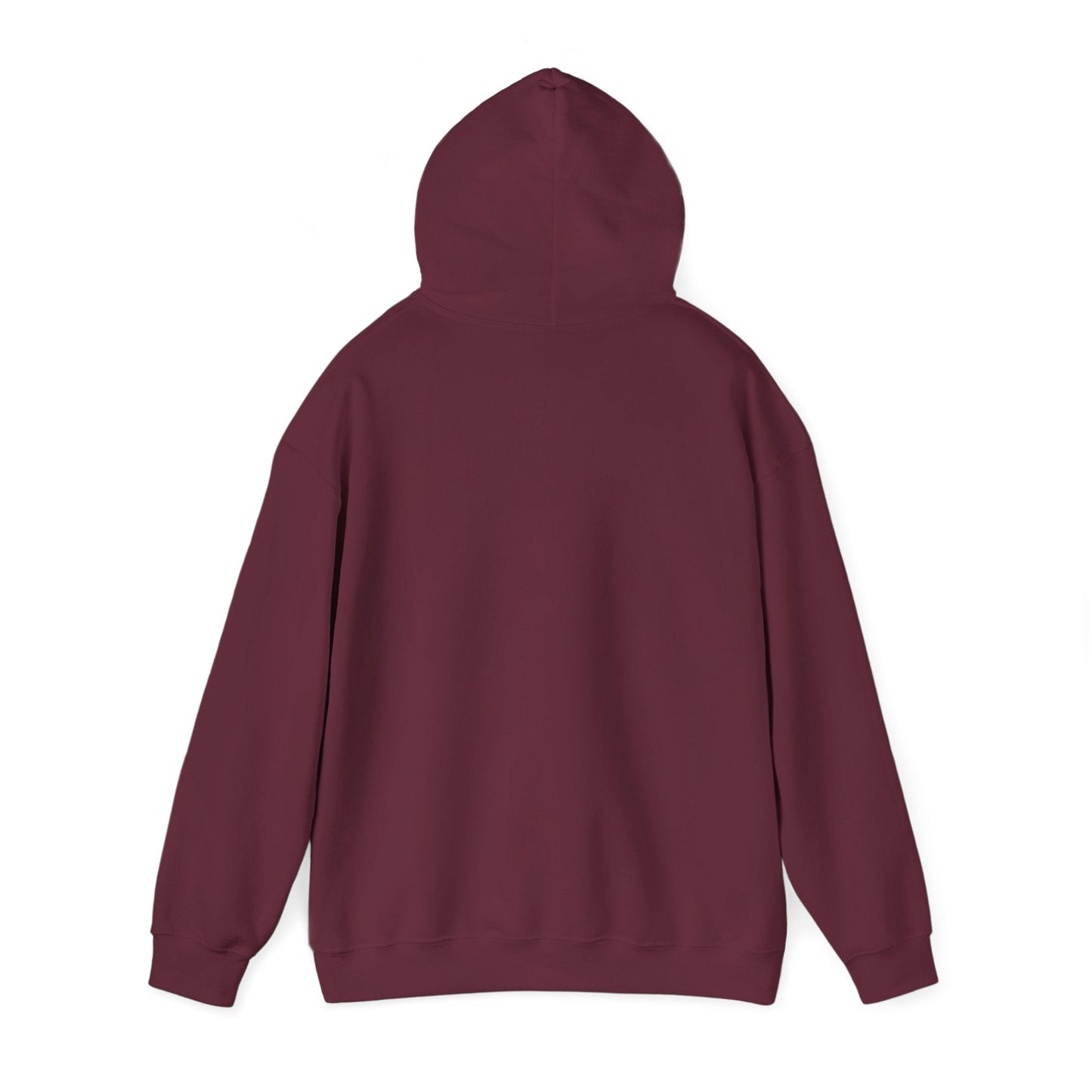 Created In His Image Hoodie — Genesis 1:27 Inspirational Pullover