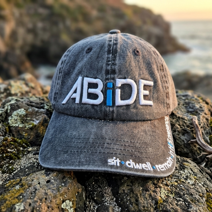ABiDE (Sit - Dwell - Remain) - Gray "Dad" Hat