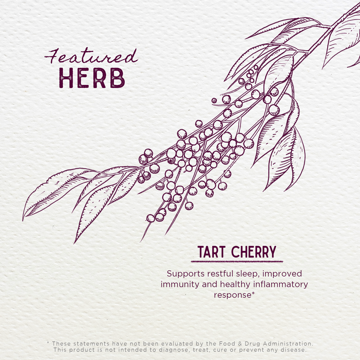 Tart Cherry Tincture
