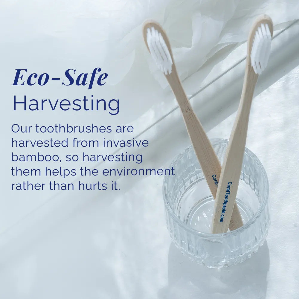 Bamboo Toothbrush