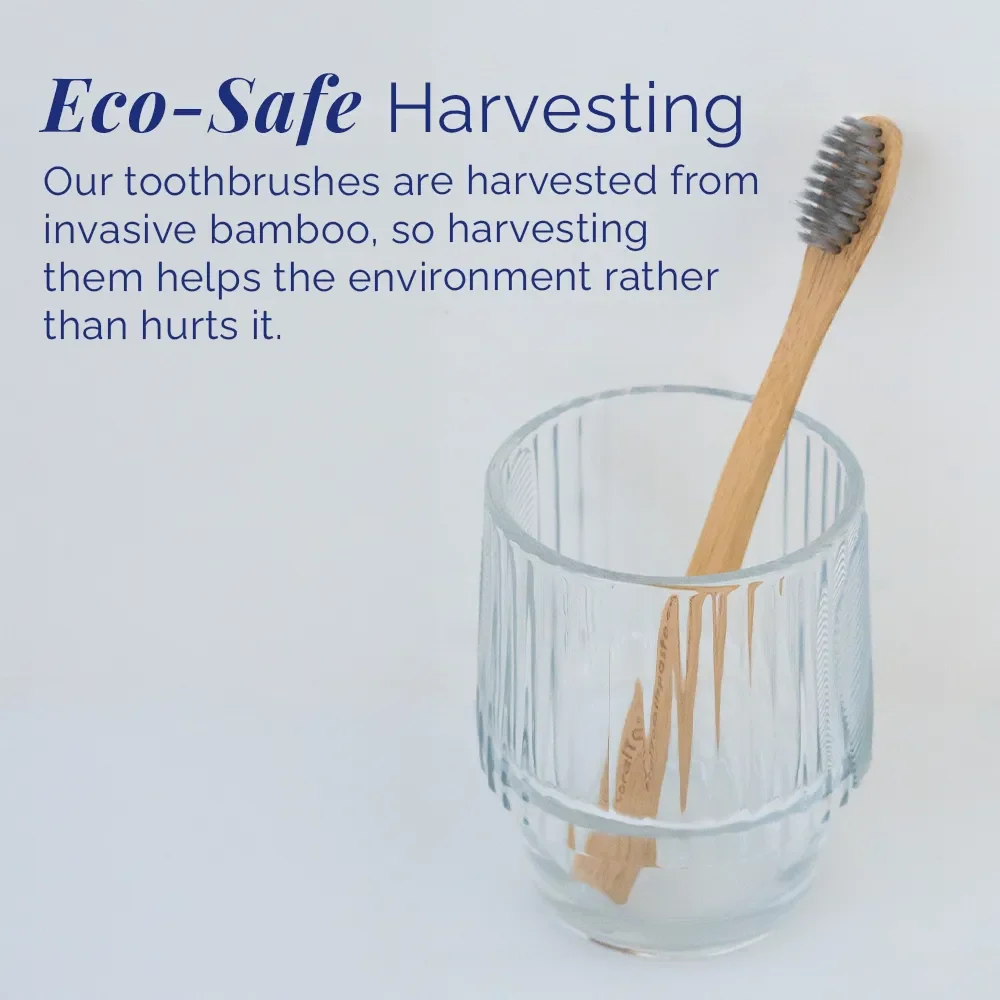 Nano Silver Kids Bamboo Toothbrush